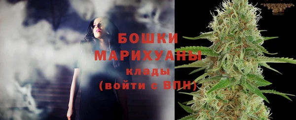 шишки Арсеньев