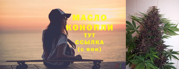 шишки Арсеньев