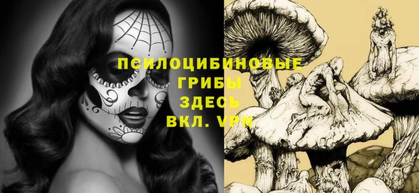 шишки Арсеньев