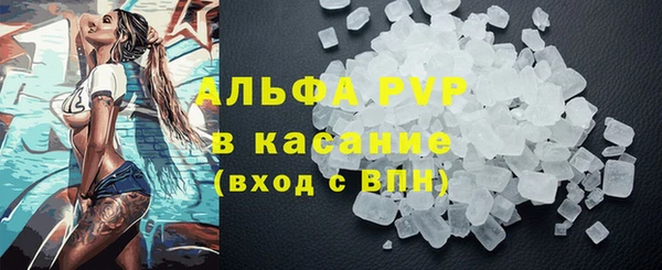 шишки Арсеньев