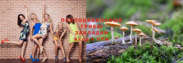 шишки Арсеньев