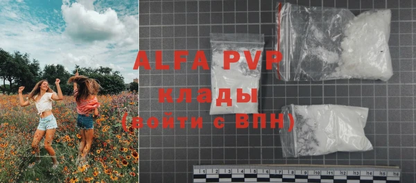 шишки Арсеньев