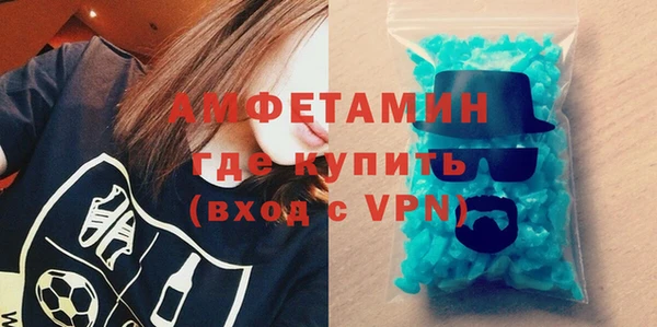 шишки Арсеньев