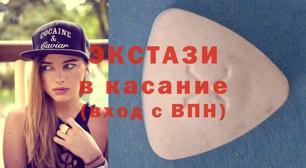 шишки Арсеньев